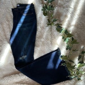 YMI High Rise Flare Jean With Frayed Hem